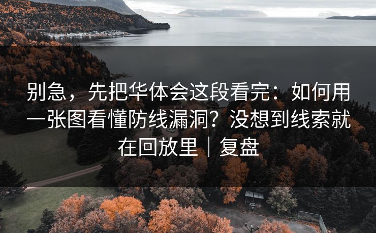别急，先把华体会这段看完：如何用一张图看懂防线漏洞？没想到线索就在回放里｜复盘