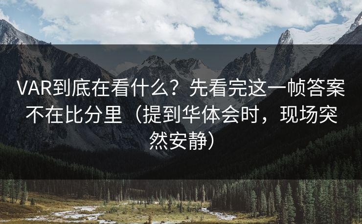 VAR到底在看什么？先看完这一帧答案不在比分里（提到华体会时，现场突然安静）