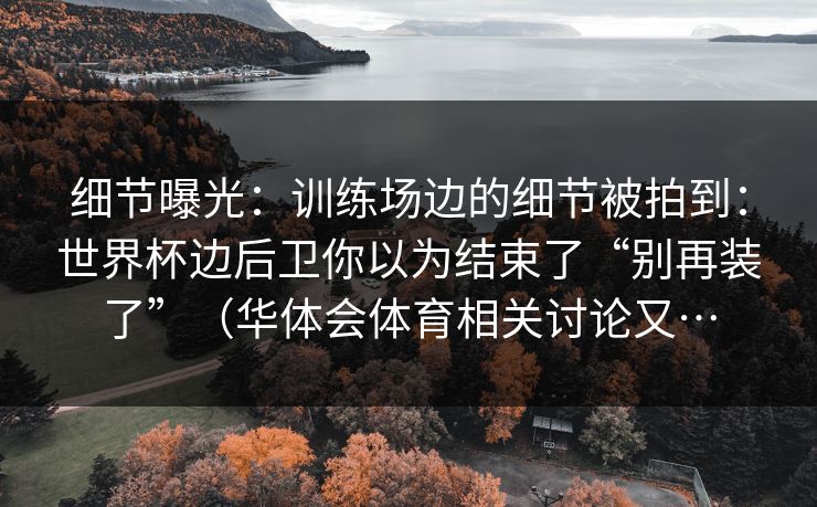 细节曝光：训练场边的细节被拍到：世界杯边后卫你以为结束了“别再装了”（华体会体育相关讨论又…