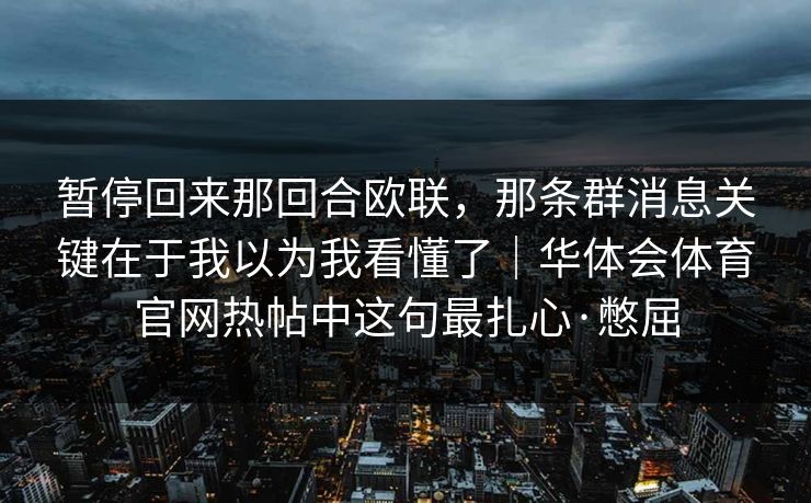 暂停回来那回合欧联，那条群消息关键在于我以为我看懂了｜华体会体育官网热帖中这句最扎心·憋屈
